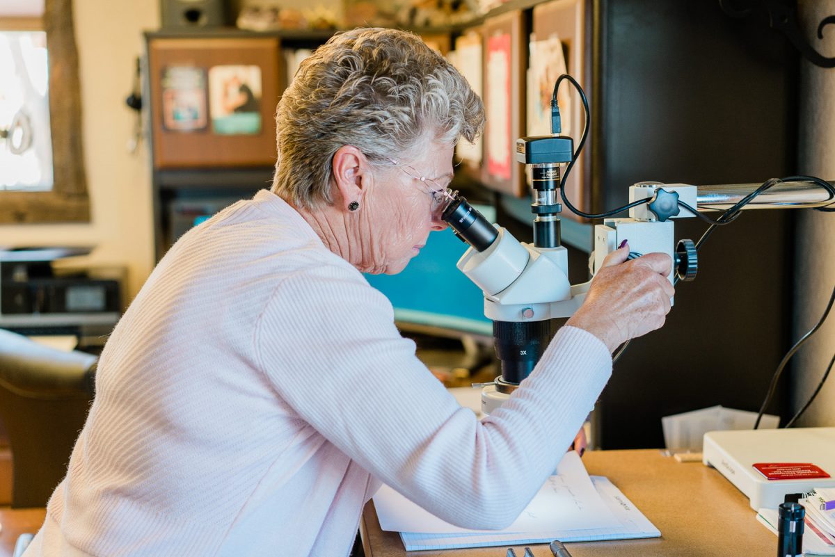 What Does a Forensic Document Examiner Do? Learn More Here What Does a Forensic Document Examiner Do? Learn More Here